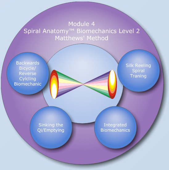 Spiral Anatomy Module 3